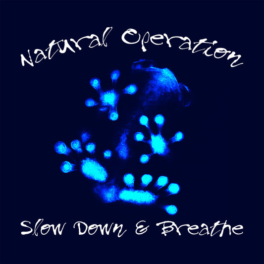 NatOp Vol. 6